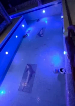 Kuşadasi Ali Bey Havuz LED Lamba  Yenileme Uygulaması