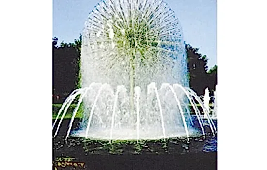 Pina Top Fıskiye